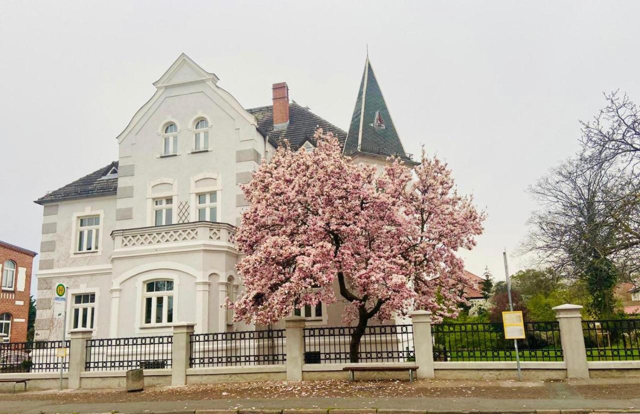 Boutique Appartement Torgau Exteriér fotografie