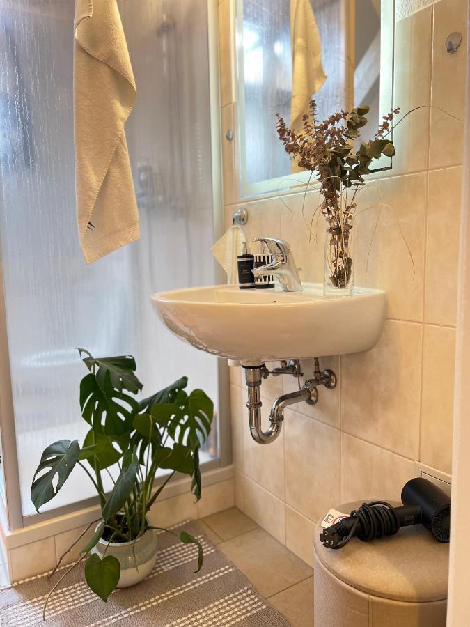 Boutique Appartement Torgau Exteriér fotografie